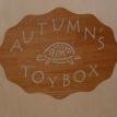 Custom Toy box